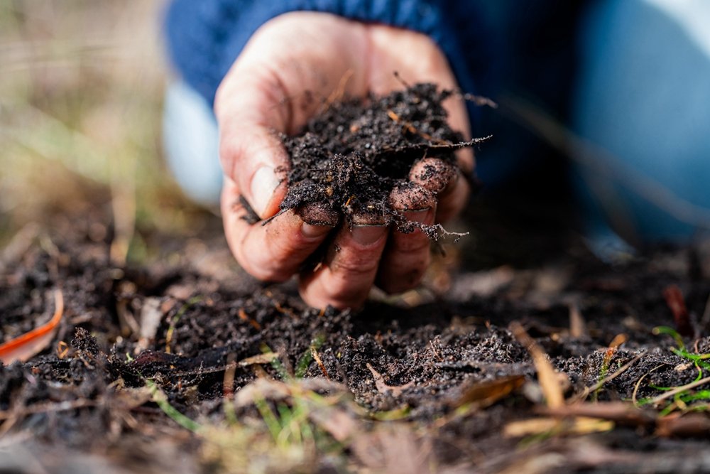 Compost