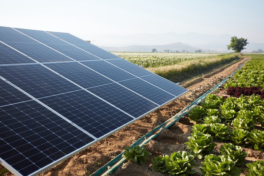 Field With Solar Energy